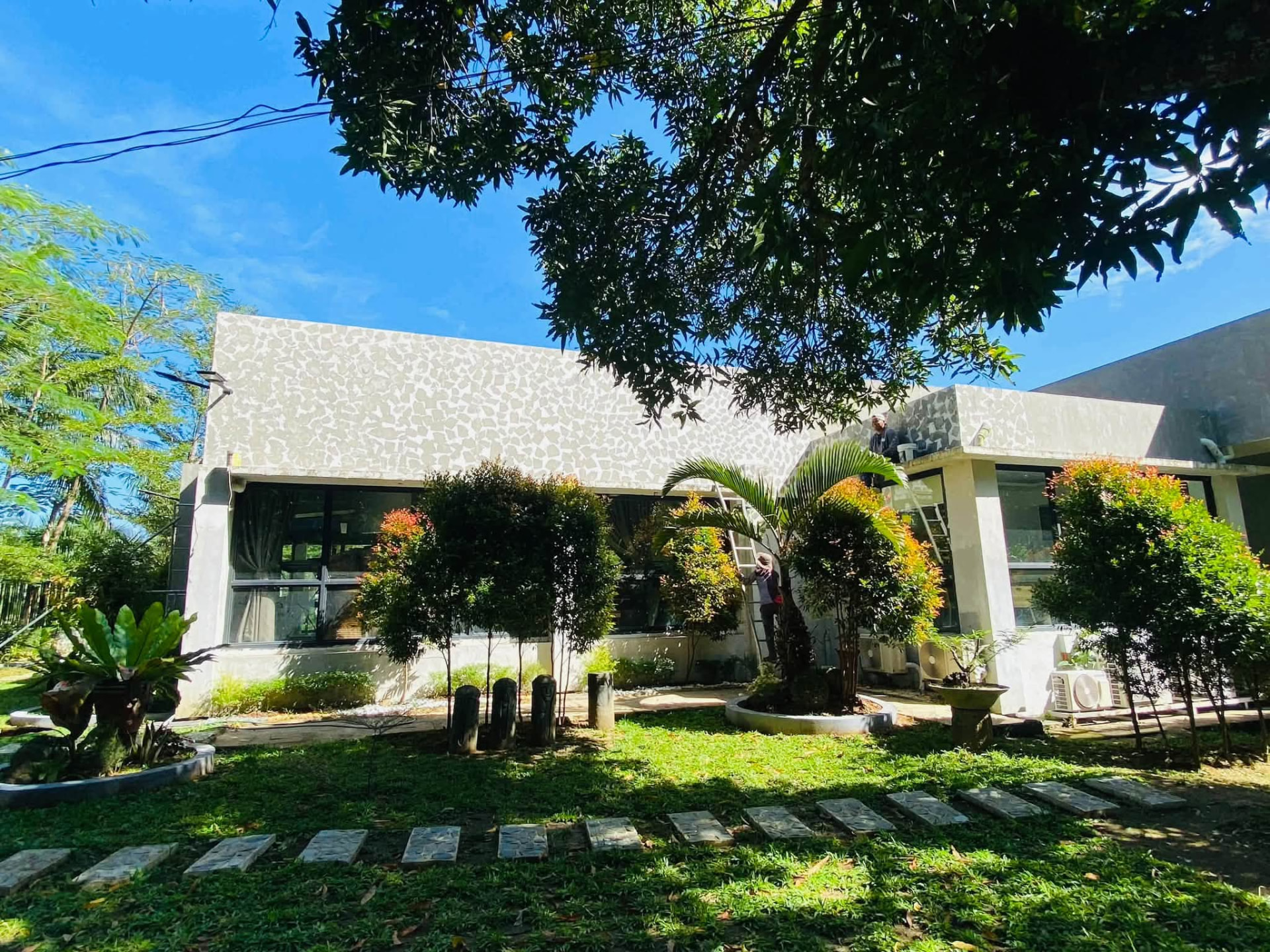 Casa Elena building behind a lawn with stepping stones under a large tree